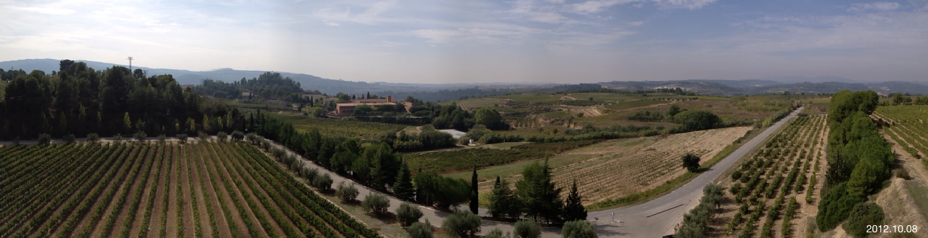 Panoramica viñedo